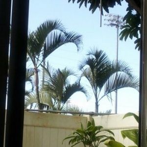 Meet your Posher, Vesha